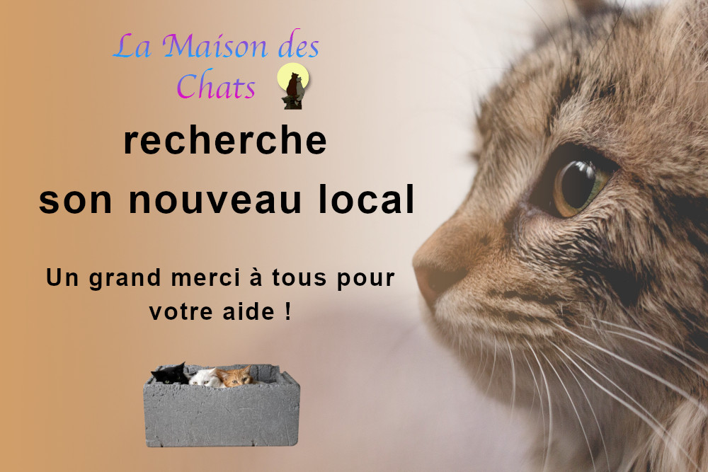 Nos Partenaires La Maison Des Chats Oise