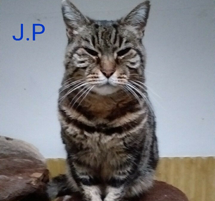 JP