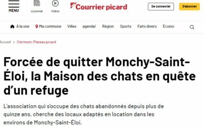 Forcée de quitter Monchy-Saint-Éloi, la Maison des chats en quête d’un refuge