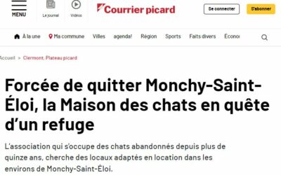 Forcée de quitter Monchy-Saint-Éloi, la Maison des chats en quête d’un refuge