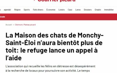 La Maison des chats de Monchy-Saint-Éloi n’aura bientôt plus de toit: le refuge lance un appel à l’aide