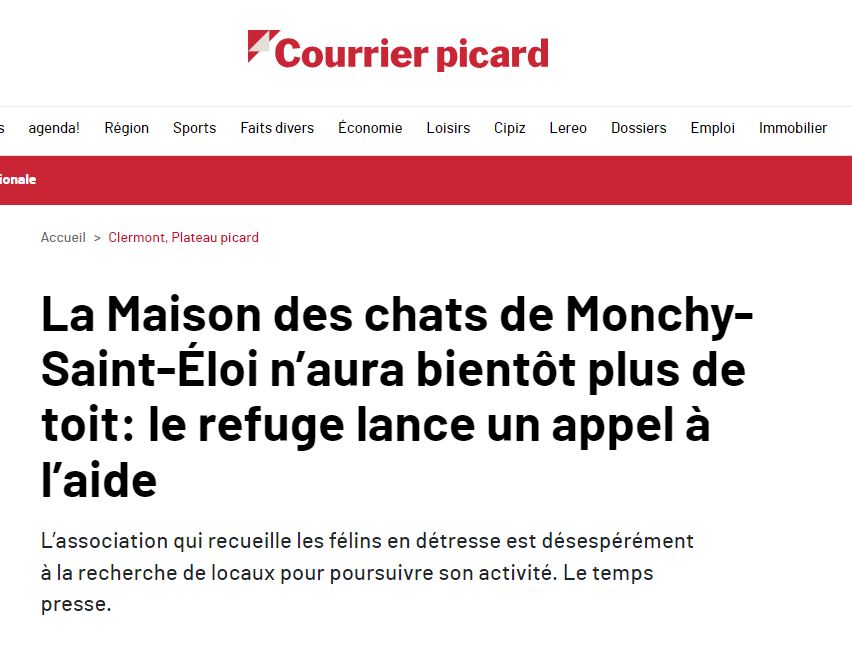 La Maison des chats de Monchy-Saint-Éloi n’aura bientôt plus de toit: le refuge lance un appel à l’aide