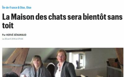 La Maison des chats sera bientôt sans toit