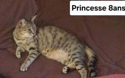 Princesse