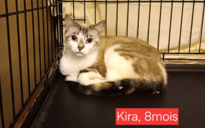 Kira