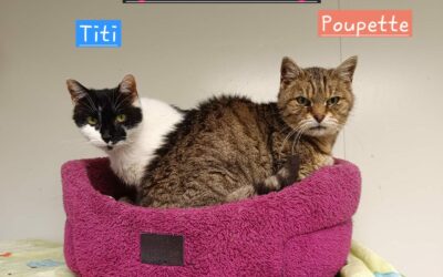 Titi & Poupette