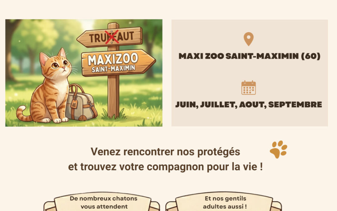 Les adoptions cet été, c&rsquo;est chez MAXIZOO !