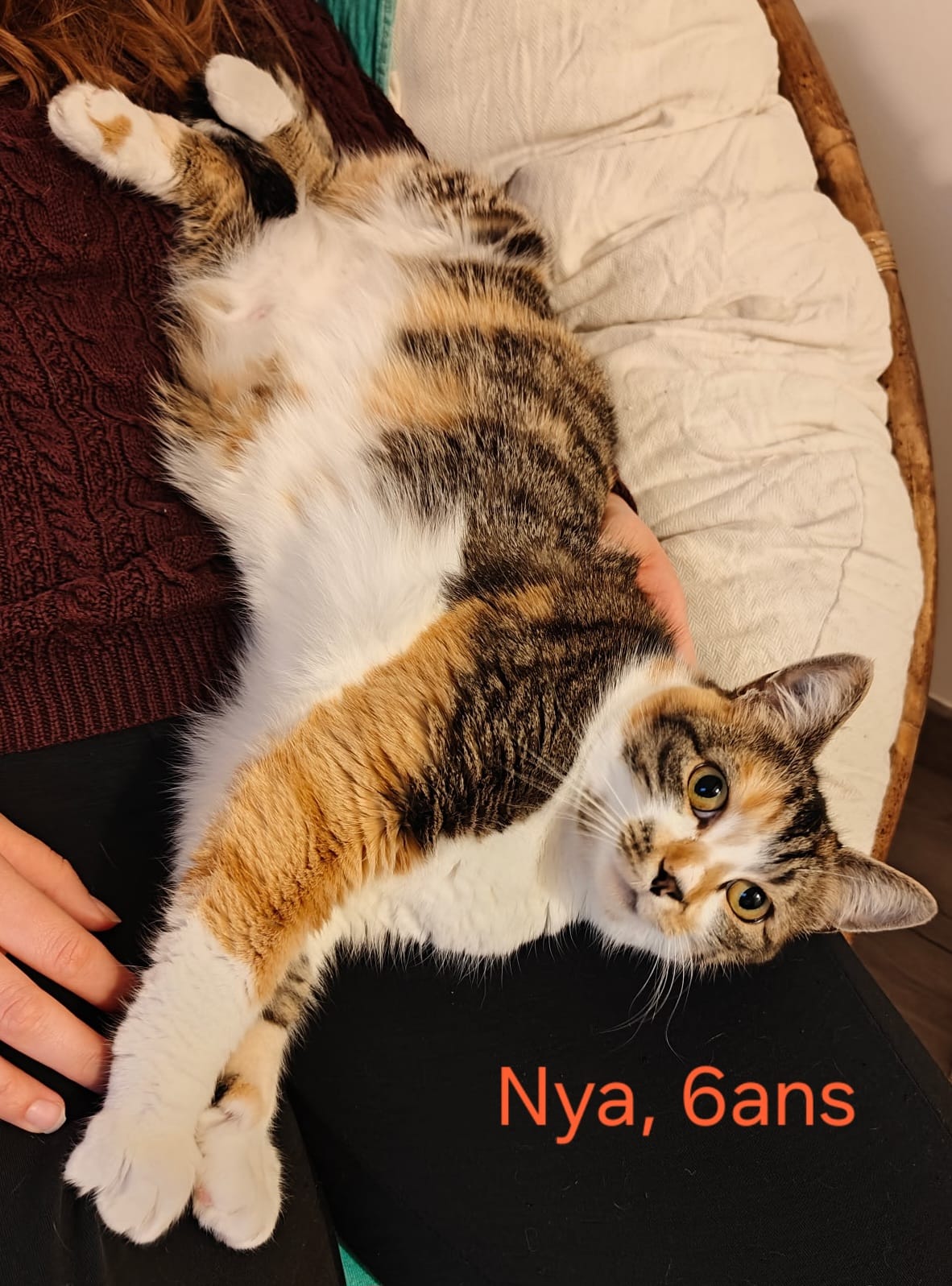 Nya